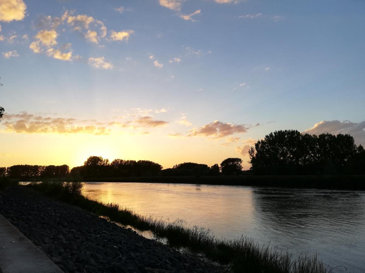 B&B De Stuifduinen Wetteren Exteriér fotografie