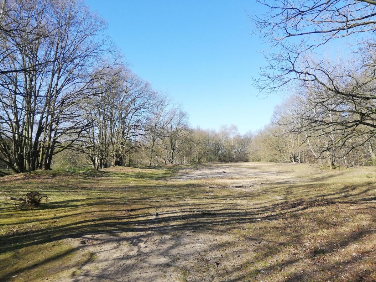 B&B De Stuifduinen Wetteren Exteriér fotografie