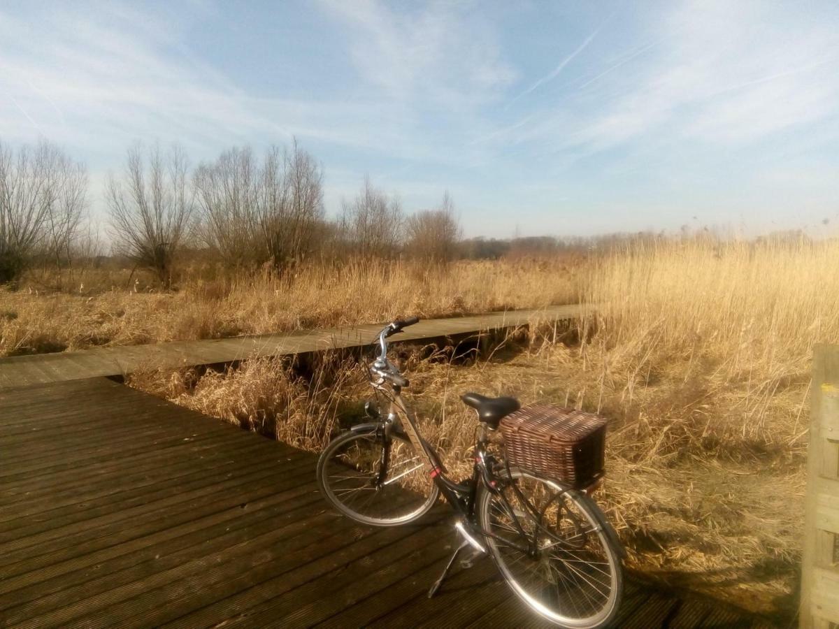 B&B De Stuifduinen Wetteren Exteriér fotografie